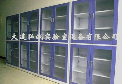 大庆药品试剂柜样式